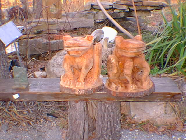 2 frogs
